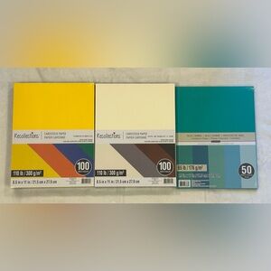 250 Sheets of Recollections Card Stock - 200 at 110lb, 50 at 65lb - BRAND NEW❣️